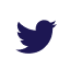 Twitter Icon